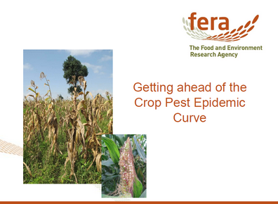 Crop pest epidemic FARMD